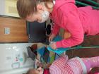 IMG_20210331_081449_799x600