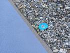 IMG_20210331_082941_799x600