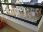 IMG_0036_800x600